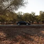 Tenuta Miro